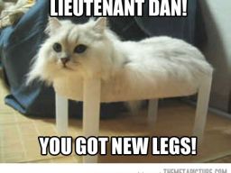 Lieutenant Dan! You got new legs!